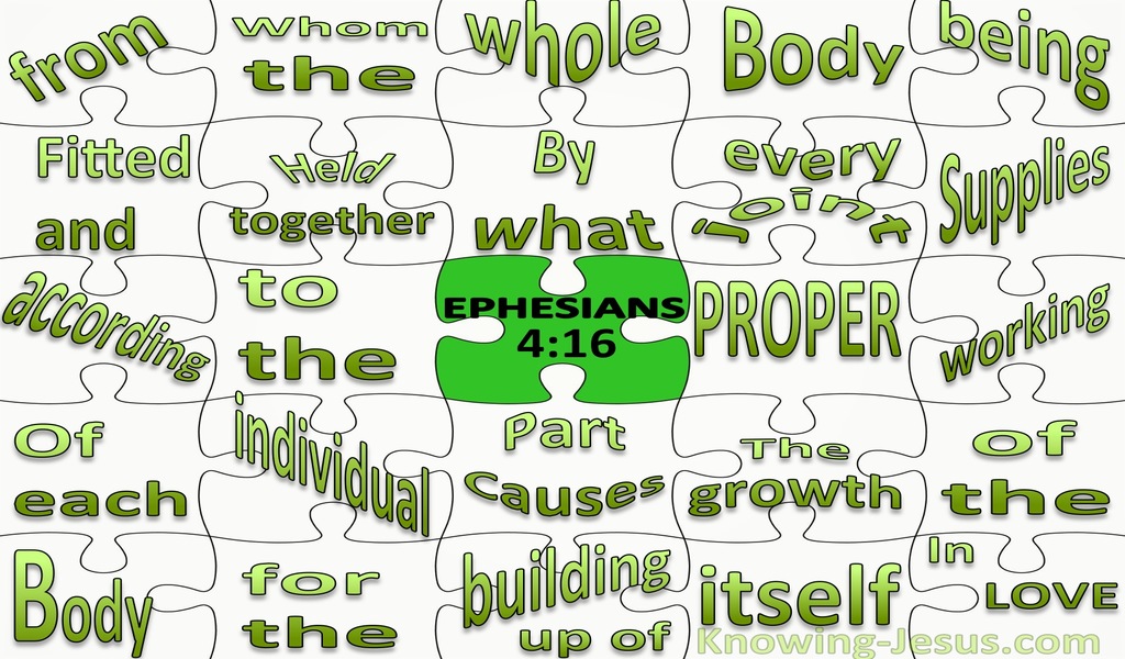 Ephesians 4:16 The Body Fitted And Held Together (black)